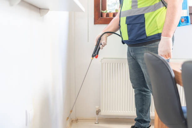 Best Ant Control Services  in Freeland, MI