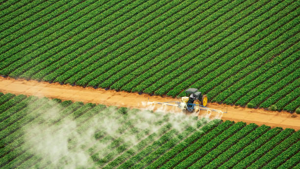 Best Pest Prevention Services  in Freeland, MI