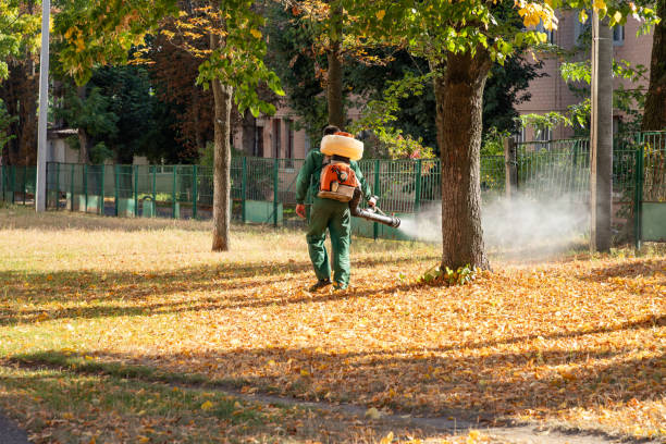 Best Wildlife Control Services  in Freeland, MI